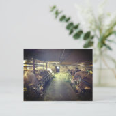 クスタル ポストカード (スタンド正面)