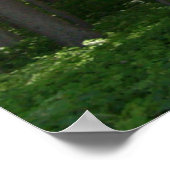 クステンシュツヴァルト。 ポスター (角)