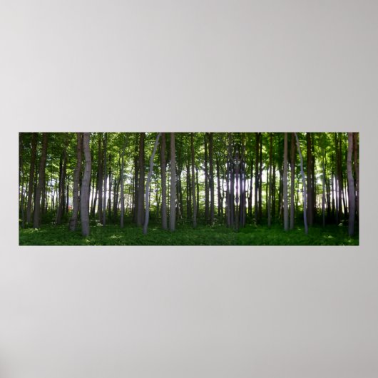 クステンシュツヴァルト。 ポスター (正面)