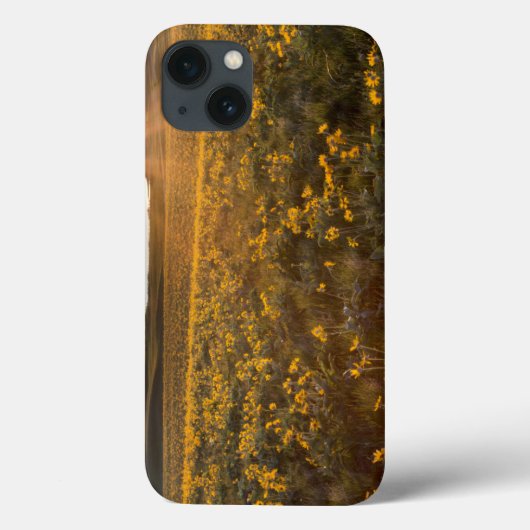 クズの葉のバルサムルートの山花の台 Case-Mate iPhoneケース (裏面)