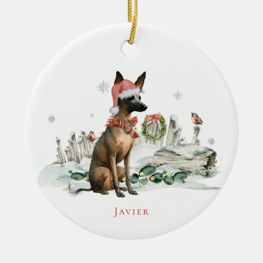 クソロイツクインテリ | 水色メキシカンヘアレスドッグ セラミックオーナメント (正面)