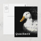 クッカー ポストカード (正面/裏面)