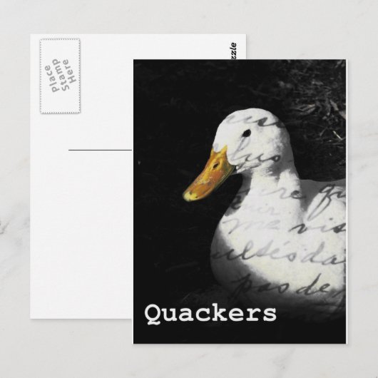 クッカー ポストカード (正面/裏面)