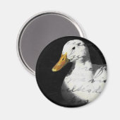 クッカー マグネット (正面/裏面)