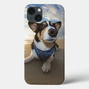 クッキーって言った？ iPhone 13ケース