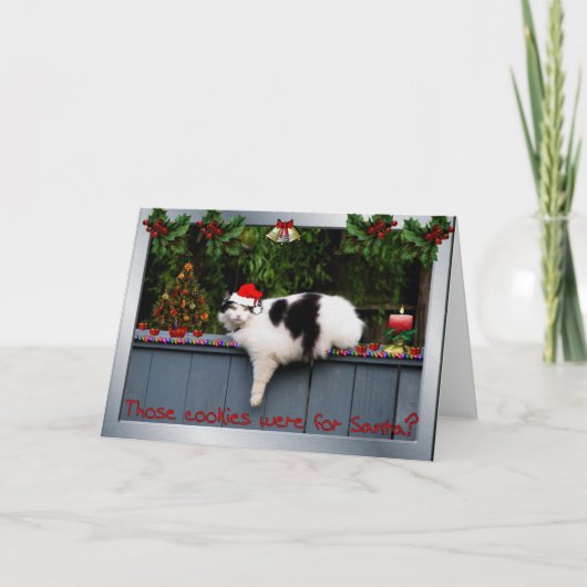 クッキーの愛情のある猫 シーズンカード (正面)