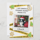 クッキーの犯罪現場 楽しい犬のクリスマスカード サンキューカード (正面)