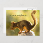 クッキージャーにかわいいリス ポストカード (正面/裏面)