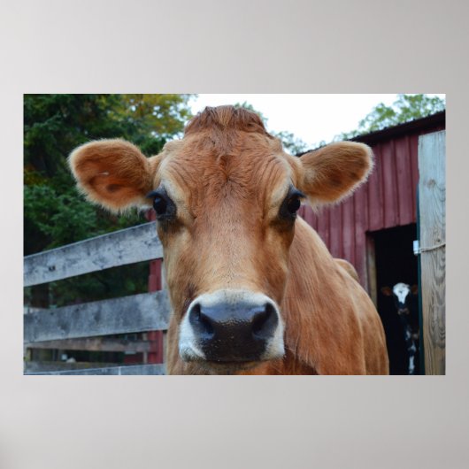 クッキー牛 ポスター (正面)