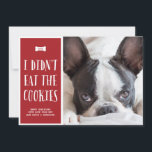 クッキー |かわいいペットの休日のフォトカード シーズンカード<br><div class="desc">あなたの犬（または他のいたずら好きなペット）のための愛らしい休日の写真カード！このおもしろい写真カードは、フェスティバルの赤い背景に対し食べて白いレタリングで「私はクッキーを持っていなかった」というフレーズを特徴としている。</div>