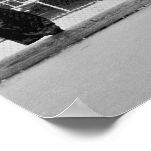 クッキー ポスター (角)