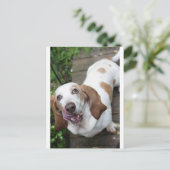 クッキー? ポストカード (スタンド正面)