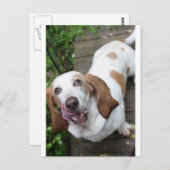 クッキー? ポストカード (正面/裏面)