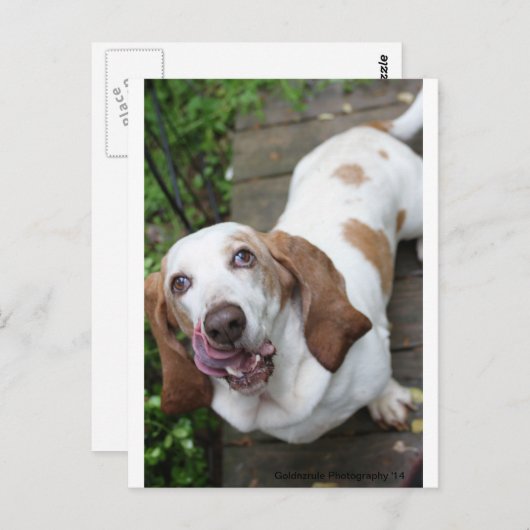 クッキー？ ポストカード (正面/裏面)