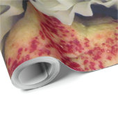 クッキー ラッピングペーパー (ロールコーナー)