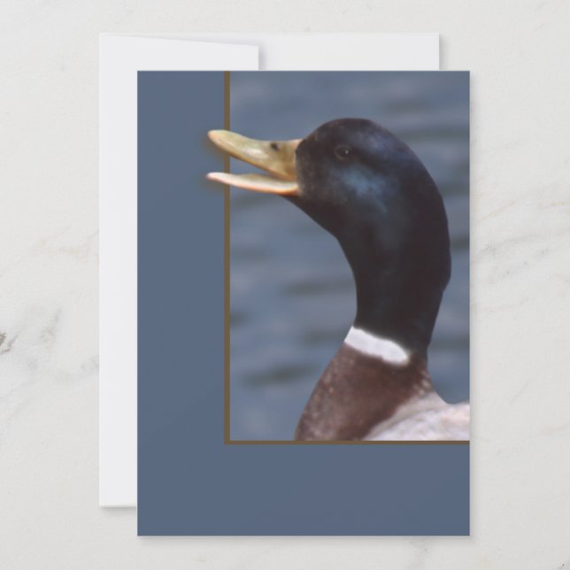 クックアップ (正面)