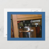 クックインって何？ ポストカード (正面/裏面)