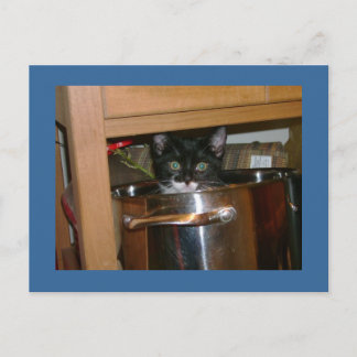 クックインって何？ ポストカード