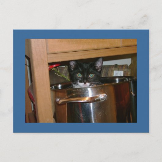 クックインって何？ ポストカード (正面)