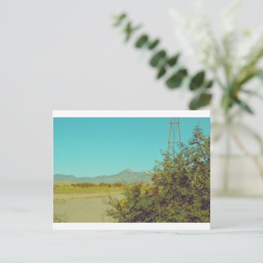 クックスピーク ポストカード 10 (スタンド正面)