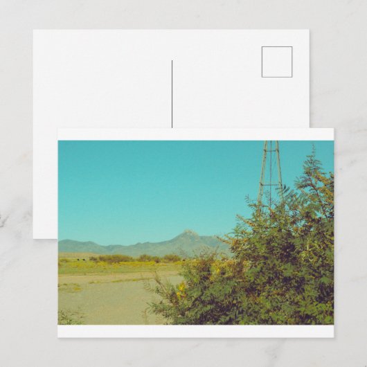 クックスピーク ポストカード 10 (正面/裏面)