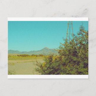 クックスピーク ポストカード 10