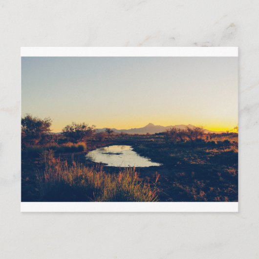 クックピーク葉書08 ポストカード (正面)