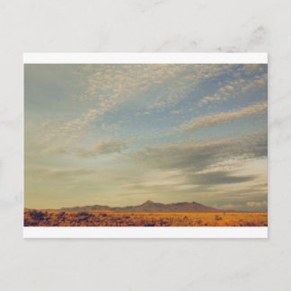 クックピーク葉書13 ポストカード