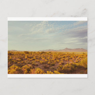 クックピーク葉書14 ポストカード