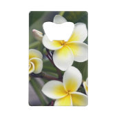 クック諸島のプルメリアの花 クレジットカード栓抜き (裏面)