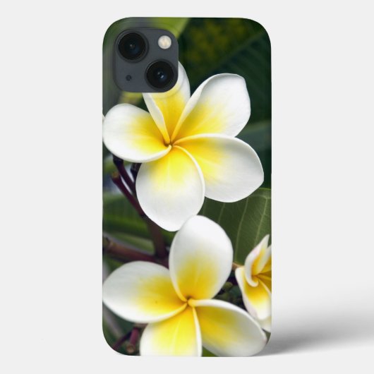 クック諸島のプルメリアの花 Case-Mate iPhoneケース (裏面)