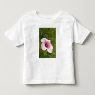 クック諸島、アチウ島。ハイビスカスの花 トドラーTシャツ