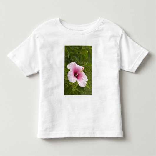 クック諸島、アチウ島。ハイビスカスの花 トドラーTシャツ (正面)