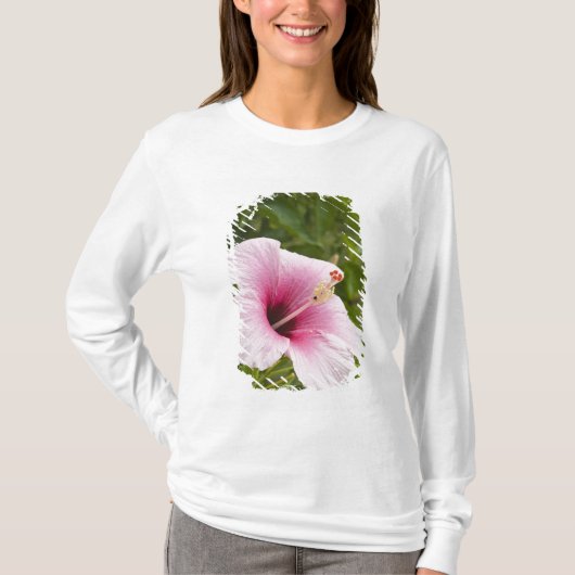 クック諸島、アチウ島。ハイビスカスの花 Tシャツ (正面)
