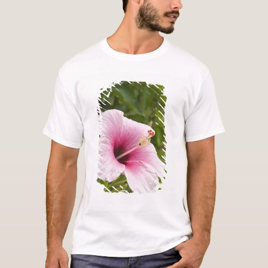 クック諸島、アチウ島。ハイビスカスの花 Tシャツ (正面)