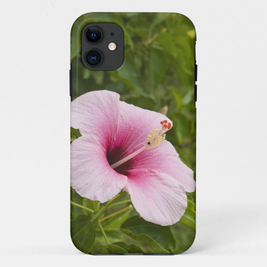 クック諸島、アティウ島。ハイビスカスの花 Case-Mate iPhoneケース (裏面)