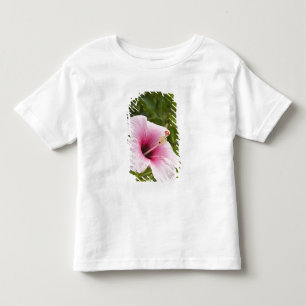 クック諸島、アティウ。ハイビスカスの花 トドラーTシャツ