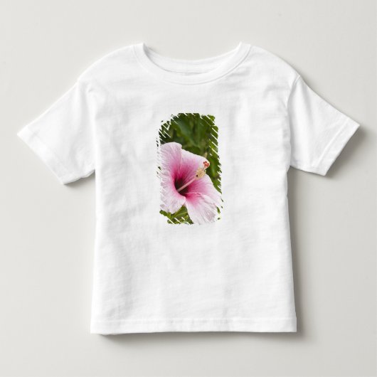 クック諸島、アティウ。ハイビスカスの花 トドラーTシャツ (正面)
