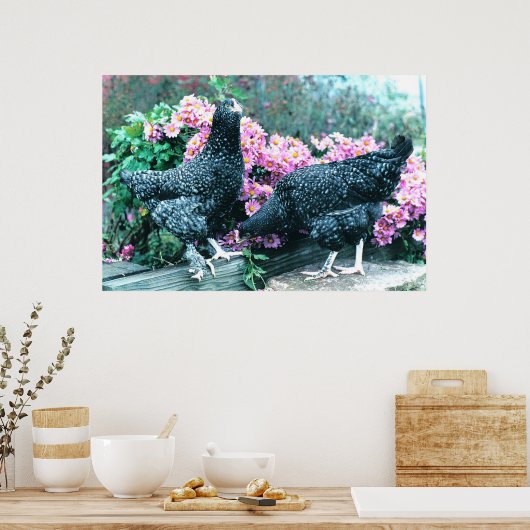 クッコマランズヘン ポスター (キッチン)