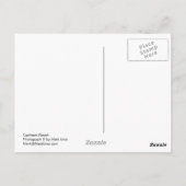 クッシュマンランチ ポストカード (裏面)