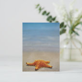 クッションのヒトデ ポストカード (スタンド正面)