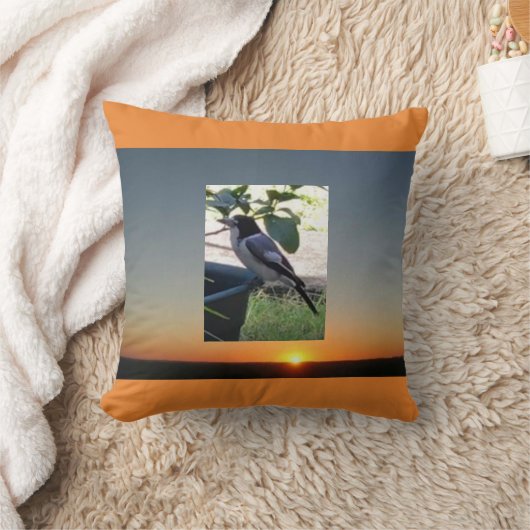 クッション (ブランケット)