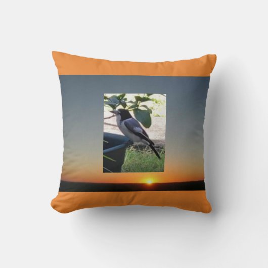 クッション (正面)