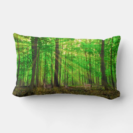 クッション (裏面)