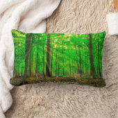 クッション (ブランケット)