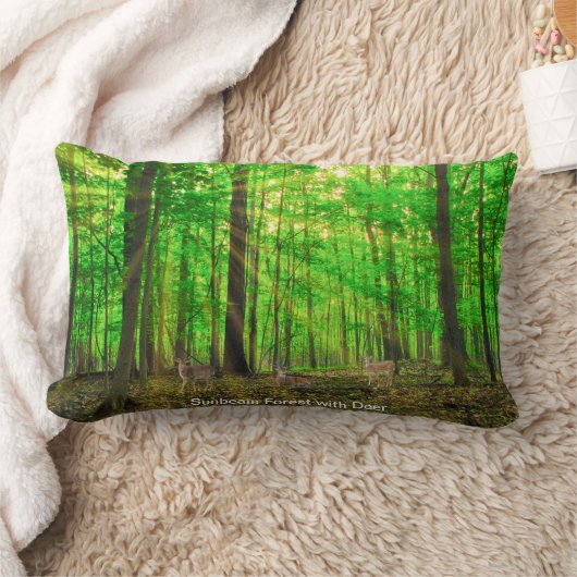 クッション (ブランケット)