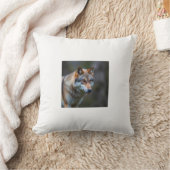 クッション (ブランケット)