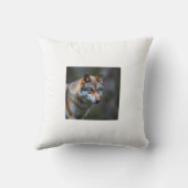 クッション (裏面)