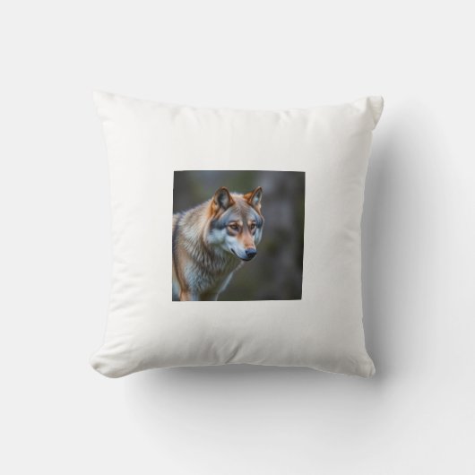 クッション (正面)