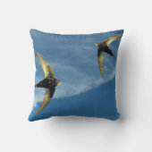 クッション (裏面)